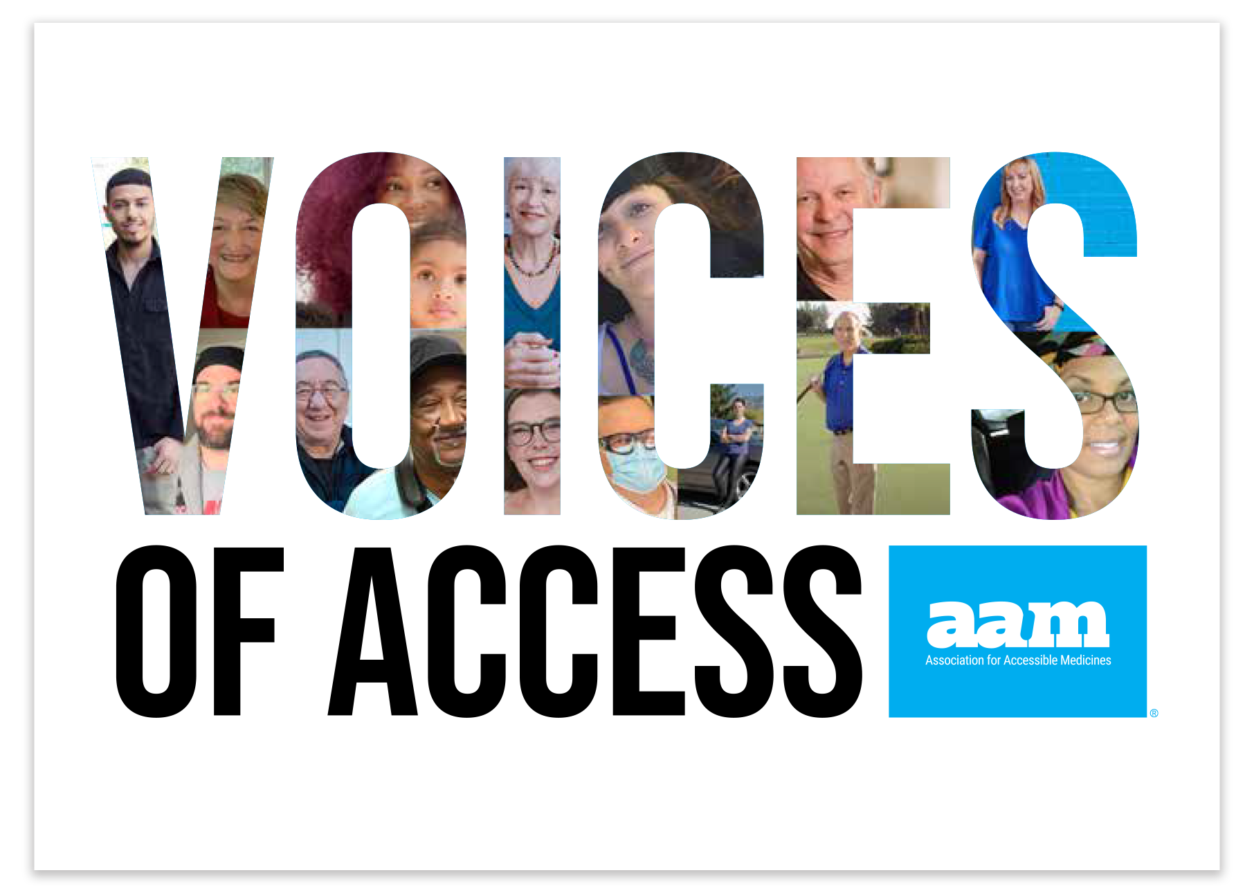 AAM Voices of Access report