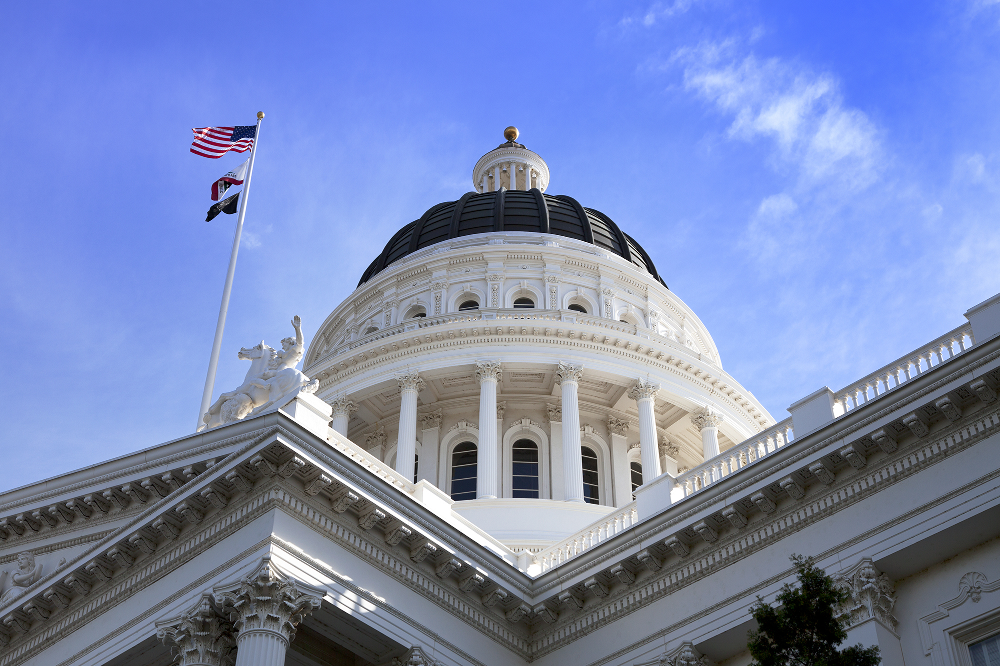 AAM Response to CA Governor Newsom Signing AB 824 | Association for ...
